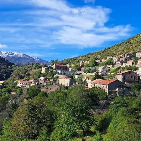 Hotel Maison Maquis Corse *