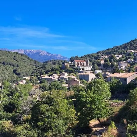 Maison Maquis Corse Zicavo