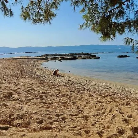 Maison Maquis Corse * Zicavo